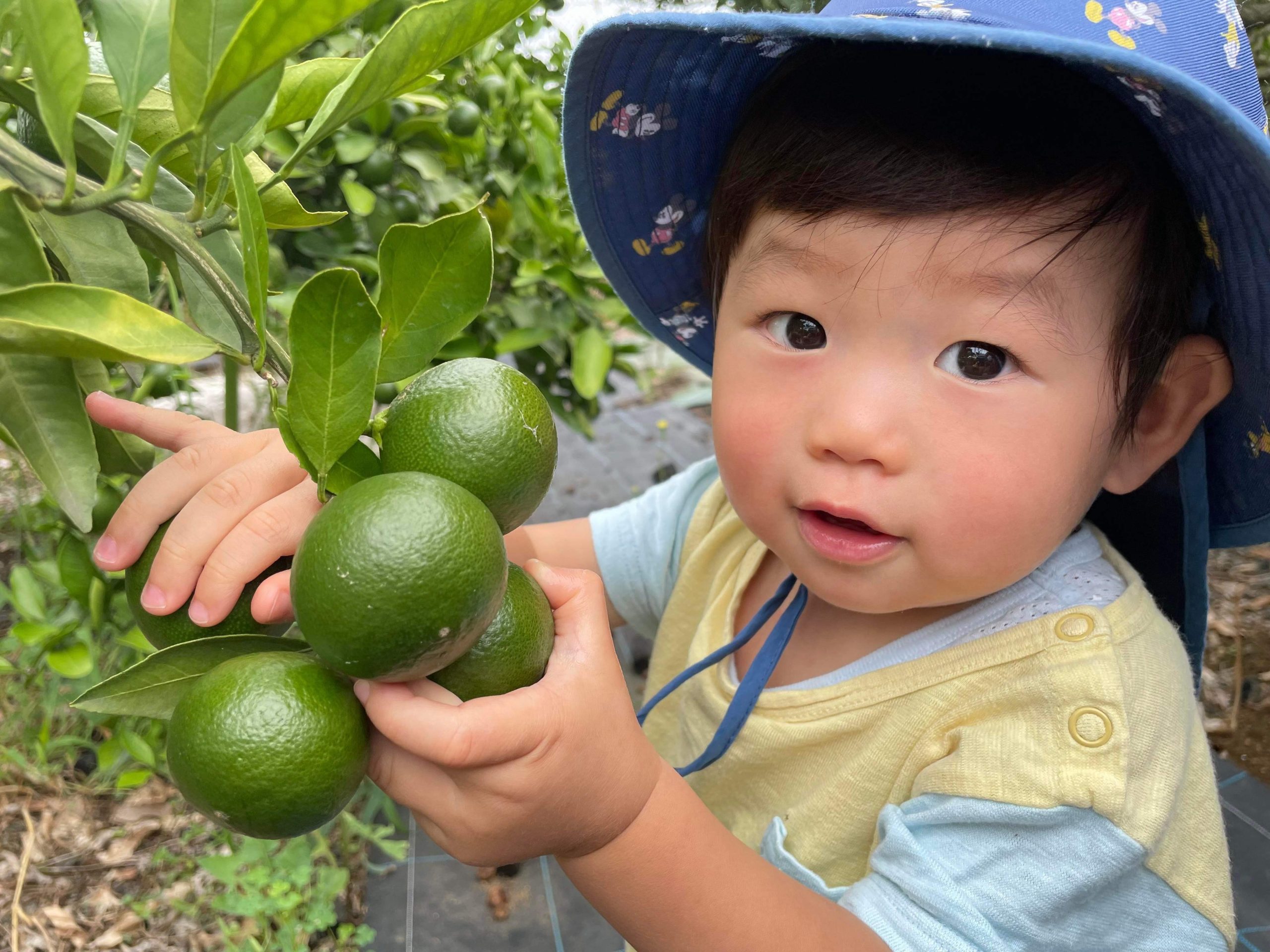 よこはまの森洗剤 – すすぎゼロ・電気代ゼロ洗浄。使えば使うほど海が